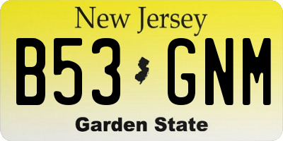 NJ license plate B53GNM