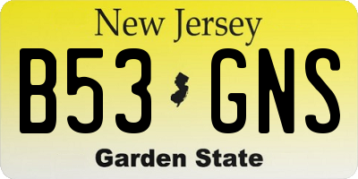 NJ license plate B53GNS