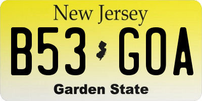 NJ license plate B53GOA