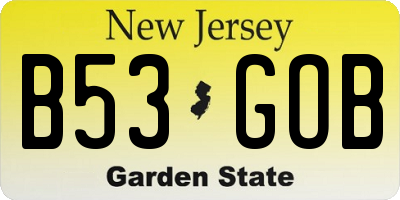 NJ license plate B53GOB
