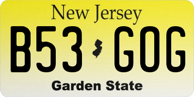 NJ license plate B53GOG