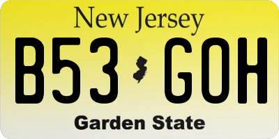 NJ license plate B53GOH