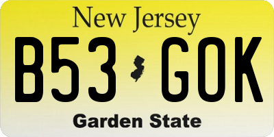 NJ license plate B53GOK