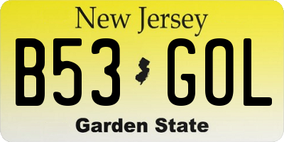 NJ license plate B53GOL