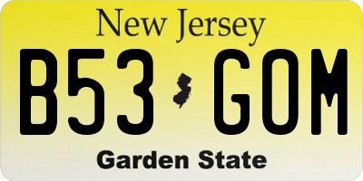 NJ license plate B53GOM