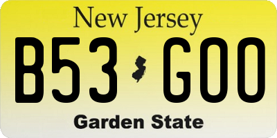 NJ license plate B53GOO