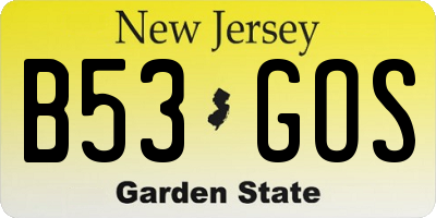NJ license plate B53GOS