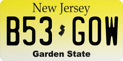 NJ license plate B53GOW
