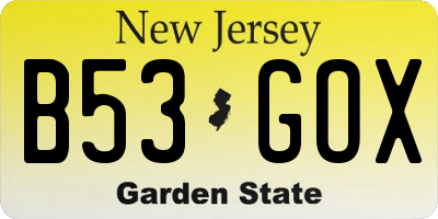 NJ license plate B53GOX