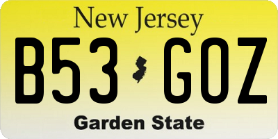 NJ license plate B53GOZ