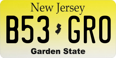 NJ license plate B53GRO