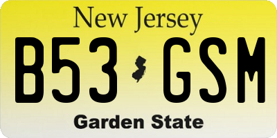 NJ license plate B53GSM