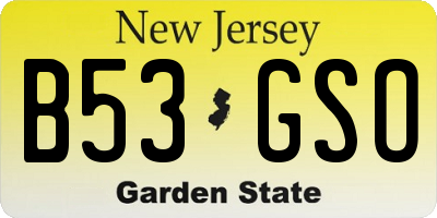 NJ license plate B53GSO