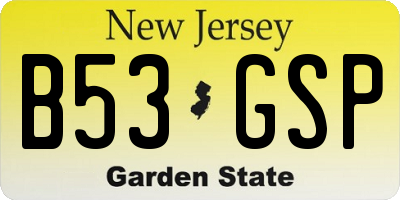 NJ license plate B53GSP