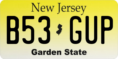 NJ license plate B53GUP