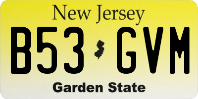 NJ license plate B53GVM