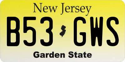 NJ license plate B53GWS
