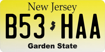 NJ license plate B53HAA