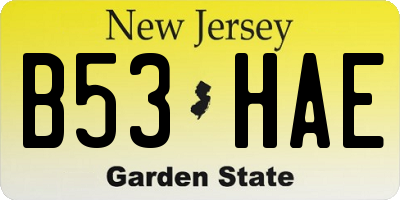 NJ license plate B53HAE