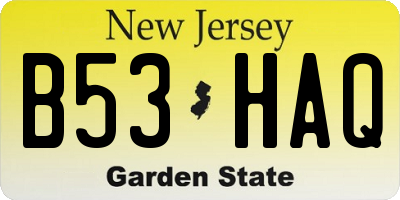NJ license plate B53HAQ
