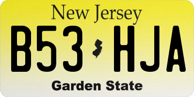 NJ license plate B53HJA
