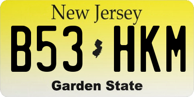 NJ license plate B53HKM