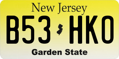 NJ license plate B53HKO