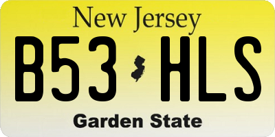 NJ license plate B53HLS