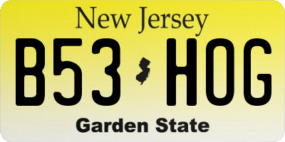 NJ license plate B53HOG