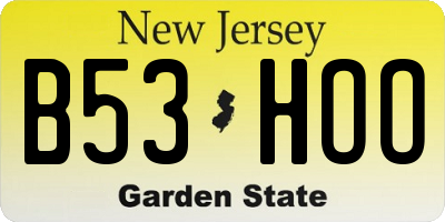 NJ license plate B53HOO