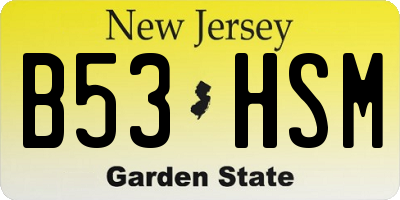 NJ license plate B53HSM