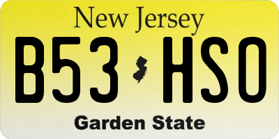 NJ license plate B53HSO