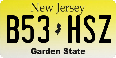 NJ license plate B53HSZ