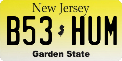 NJ license plate B53HUM