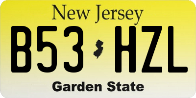 NJ license plate B53HZL