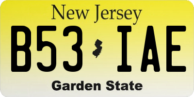 NJ license plate B53IAE