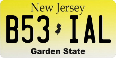 NJ license plate B53IAL
