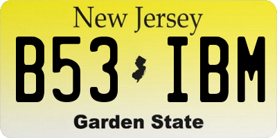 NJ license plate B53IBM