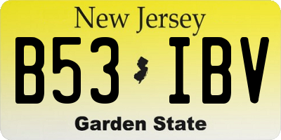 NJ license plate B53IBV