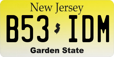 NJ license plate B53IDM
