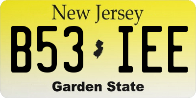 NJ license plate B53IEE