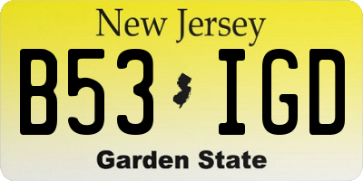 NJ license plate B53IGD