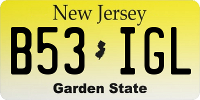 NJ license plate B53IGL