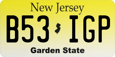 NJ license plate B53IGP