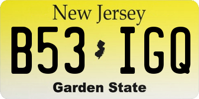 NJ license plate B53IGQ