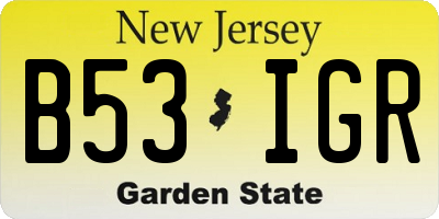 NJ license plate B53IGR