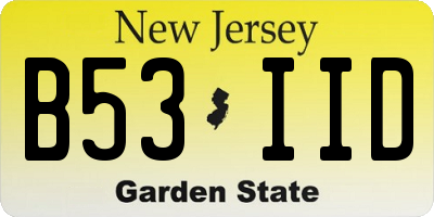 NJ license plate B53IID