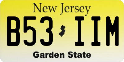 NJ license plate B53IIM