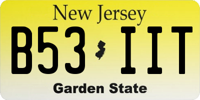 NJ license plate B53IIT