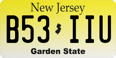 NJ license plate B53IIU